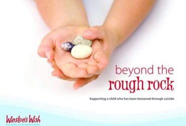 Beyond the Rough Rock