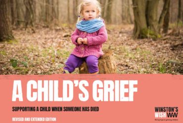 A Child's Grief book cover