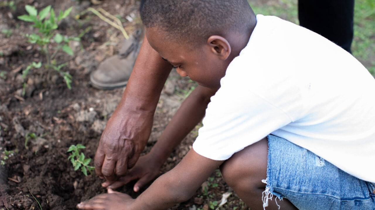Child planting seeds in garden