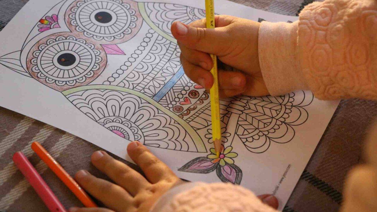 Photo of a child colouring in a picture of an owl