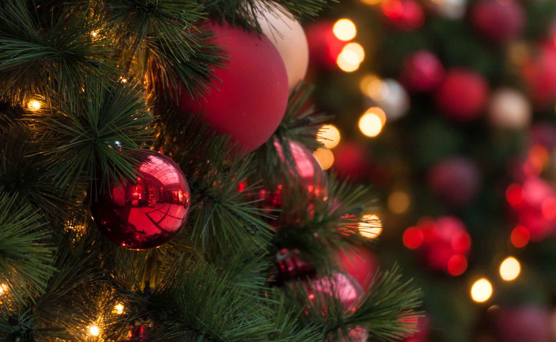 Close up photo of a Christmas tree with red and gold decorations