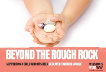 Beyond the Rough Rock book cover
